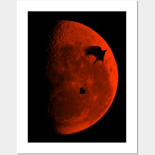 two crows and a red half moon Posters and Art